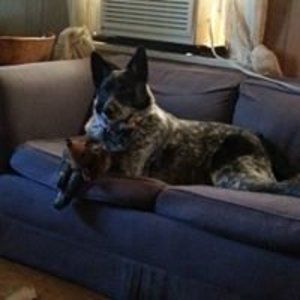 Meet your Posher, Adam